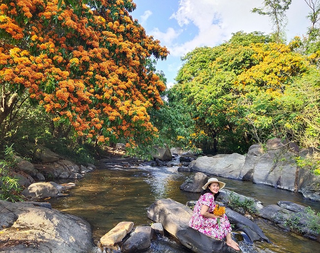 Bình Định: Lên suối Tà Má ngắm hoa rừng