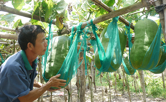 Bình Định: Du lịch làng nghề góp phần bảo tồn nghề truyền thống