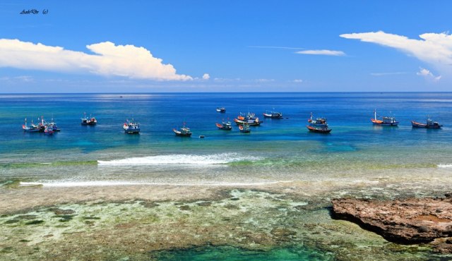   Quảng Ngãi: Ban hành Quy chế quản lý Khu bảo tồn biển Lý Sơn