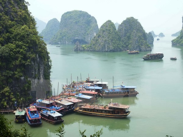 Quảng Ninh: Du lịch biển đảo báo hiệu một ''mùa gặt'' thành công