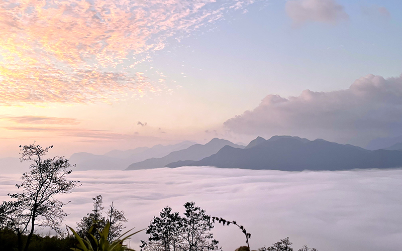 “Săn mây” ở Hầu Chư Ngài, Lào Cai
