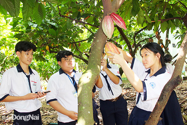 Xuân Lộc (Đồng Nai): Vườn mẫu kết hợp du lịch góp phần nâng tầm nông thôn mới