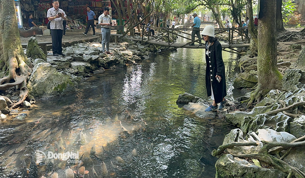 Thanh Hóa liên kết Đông Nam Bộ trong khai thác du lịch