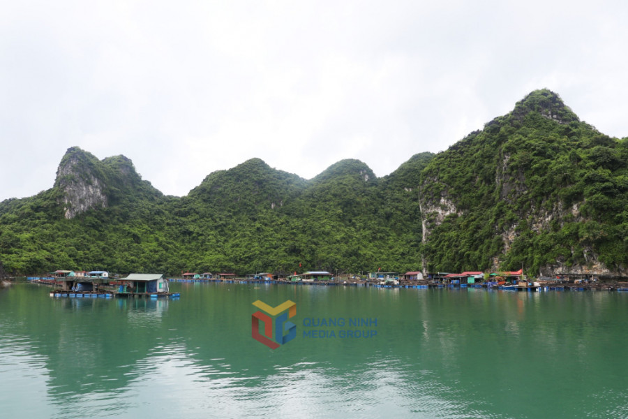 Quảng Ninh: Mở tour khám phá Bái Tử Long