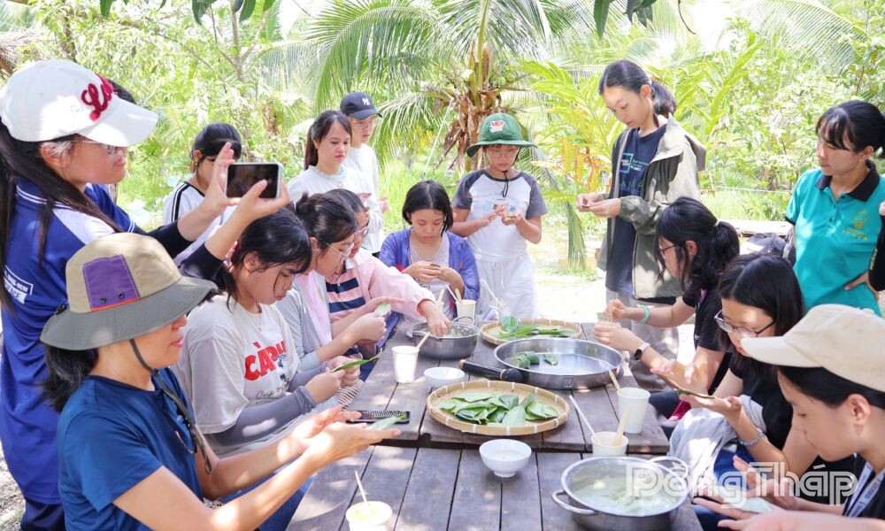 Du lịch hè Đồng Tháp: Trải nghiệm xanh,“gieo mầm” tình yêu thiên nhiên