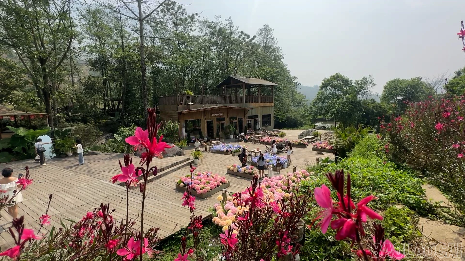 Lào Cai khởi động du lịch hè