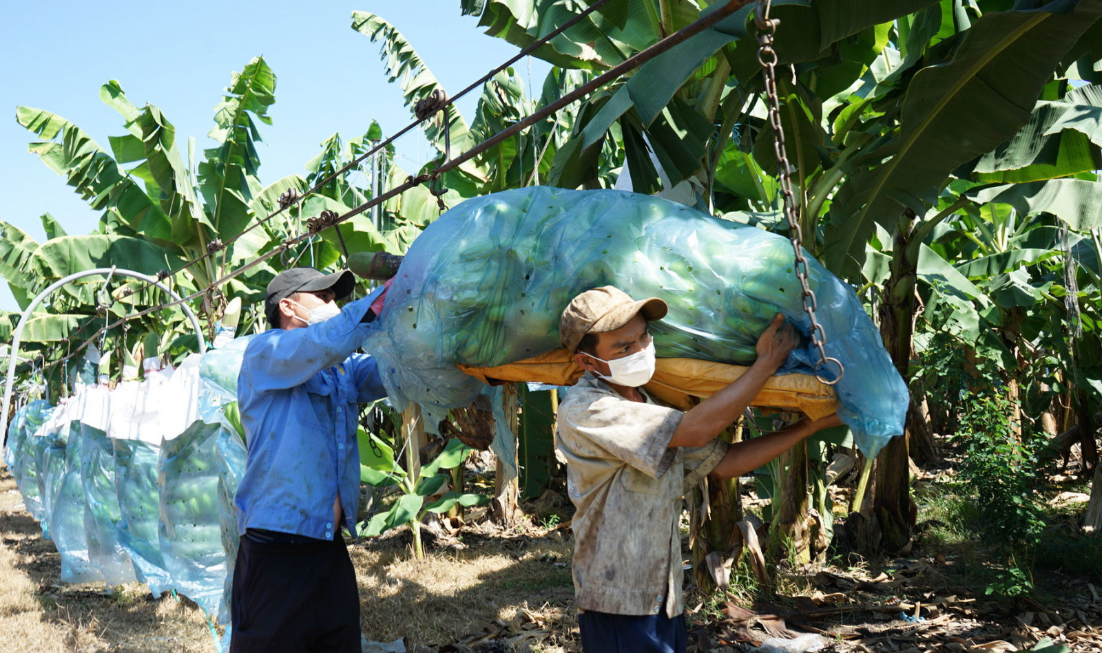 Phú Giáo (Bình Dương): Phát huy tiềm năng nông nghiệp, du lịch sinh thái