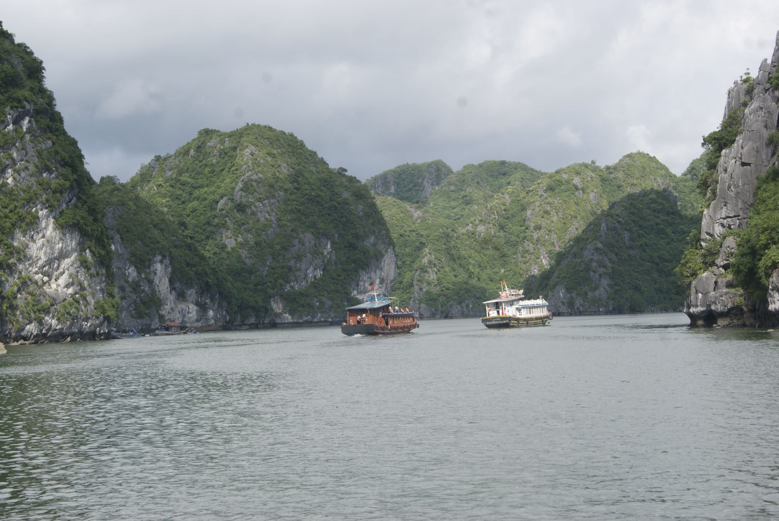 Quảng Ninh: Nhu cầu du lịch tàu thủy ở Cát Bà tăng cao