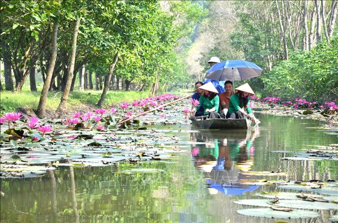 Suối Ấu Vĩnh An - đẹp “hoang sơ”