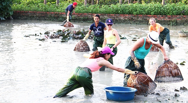 Để du lịch nông nghiệp trở thành lợi thế