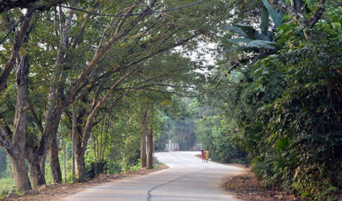 Khám phá ngôi làng cổ Hội An ở Tiên Châu (Quảng Nam)