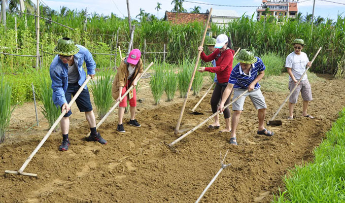 Nông dân Hội An phát triển du lịch sinh thái