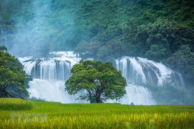 Nhiều hoạt động hấp dẫn tại Lễ hội du lịch thác Bản Giốc ở Cao Bằng