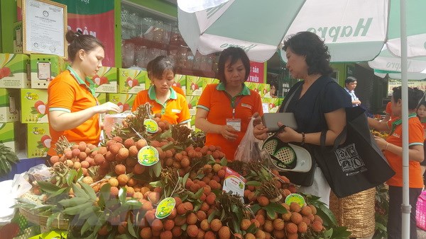 Khai mạc Tuần lễ vải thiều Thanh Hà Hải Dương tại Hà Nội